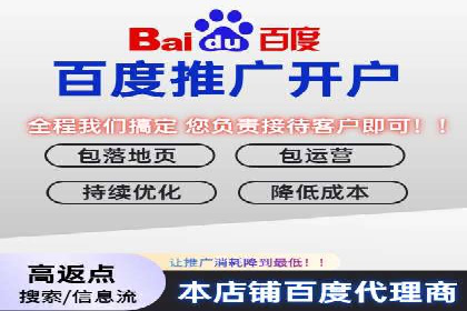 案例研究：竞价广告助力电商行业增长